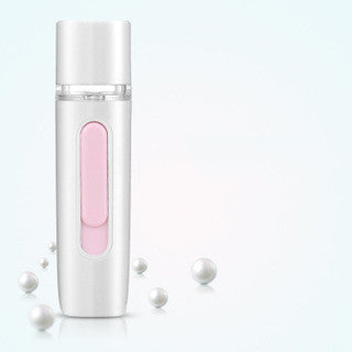 Hand-Held Skin Test Moisturizer Facial Humidifier