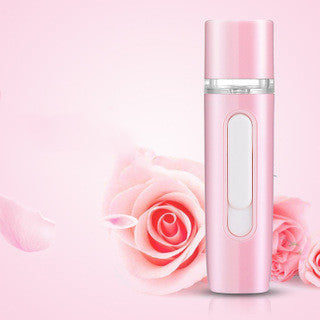 Hand-Held Skin Test Moisturizer Facial Humidifier