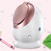 Nano Ionic Facial Steamer