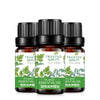 Plant nourishing essential oils