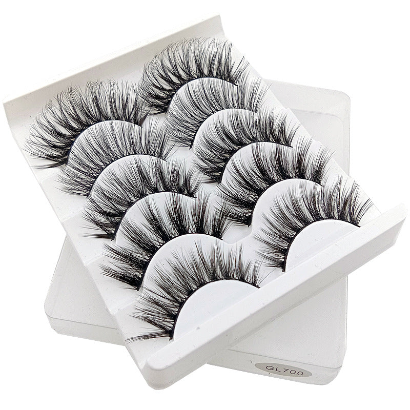 3D False Eyelashes 5Pairs Natural And Soft